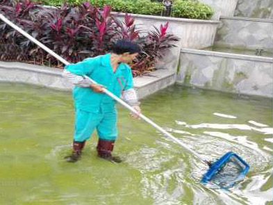 清理景观水池